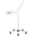 Zestaw fotel 210 + lampa lupa led S5 + taboret 302